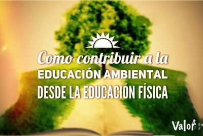 Las bases de la teoría ecológica aplicada a la educación