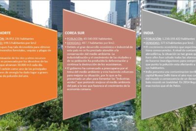 Acciones clave para una conducta ecológica y cuidar el medio ambiente