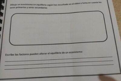 Interconexión ecológica: seres vivos y su entorno