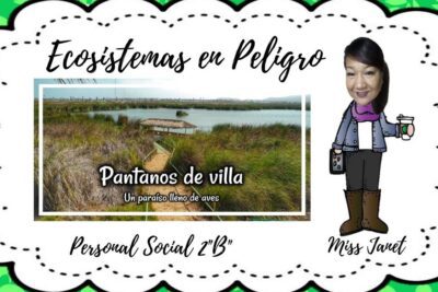 Actividades principales de la ecología: estudio y conservación de ecosistemas