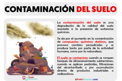 Contaminación: impacto en flora, fauna y biodiversidad