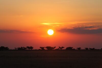 El sol: el astro más cercano a la Tierra