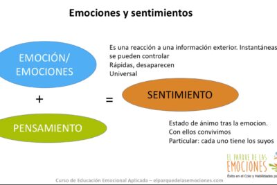 ¿Emoción vs. Sentimiento: ¿Cuál perdura más en el tiempo?