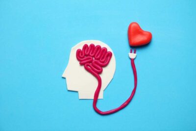 Importancia de las 12 emociones básicas en nuestra vida
