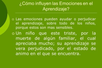El momento perfecto para aprender inteligencia emocional: ¿Cuándo es?
