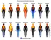 La función crucial de las emociones en la vida humana