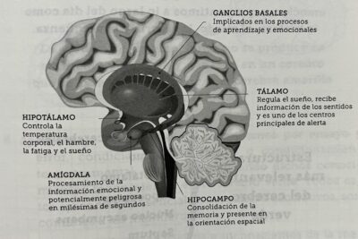 Las consecuencias de no gestionar nuestras emociones en la vida diaria
