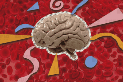 El impacto de las emociones en el cerebro y el cuerpo