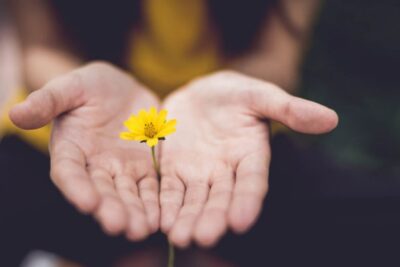 La diferencia entre perdón y perdonar en el contexto emocional