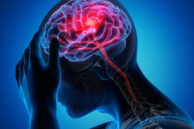 El impacto de las emociones en los órganos del cuerpo: un análisis detallado