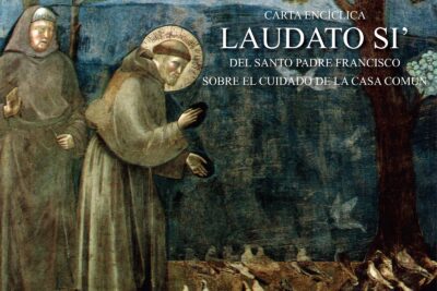 Análisis de los múltiples puntos abordados en la encíclica Laudato Si