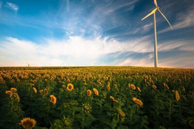 Las 8 energías renovables más utilizadas a nivel mundial