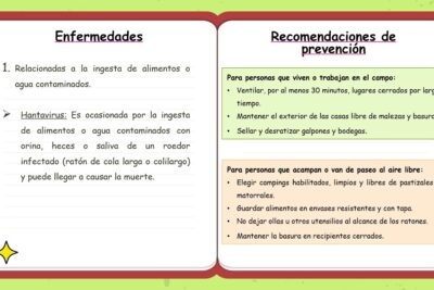 Efectos en la salud de la falta de perdón: enfermedades relacionadas