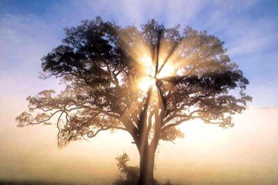 Efectos y beneficios de una experiencia espiritual: una mirada profunda
