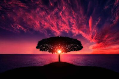 El significado bíblico de ser gnóstico: una búsqueda espiritual