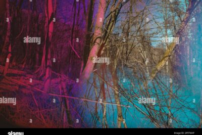 Dimensiones del ser interior: Categorías de valores espirituales
