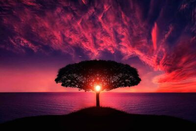 La misión espiritual: El propósito divino del ser humano