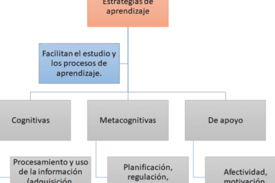 Guía efectiva para desarrollar habilidades cognitivas