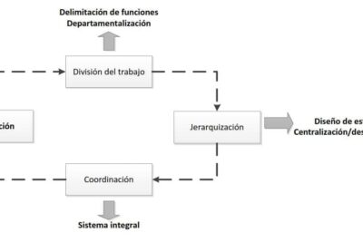 Mejores estrategias para fortalecer y crecer una organización