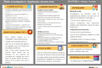 Pasos para redactar correctamente el alcance de una actividad