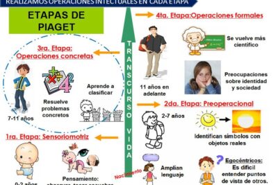 Las 7 etapas del desarrollo humano y sus características principales
