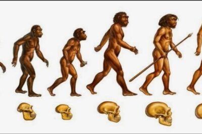 La historia del desarrollo humano: origen y evolución