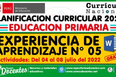 Aprendizaje experiencial: aprender a través de la experiencia