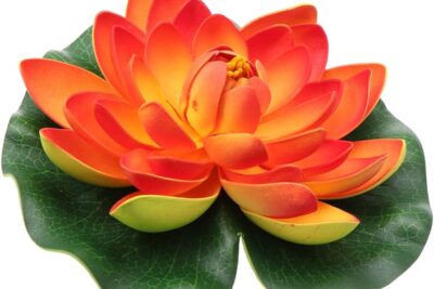 Chakra sacro: cómo desbloquearlo para aliviar la ansiedad