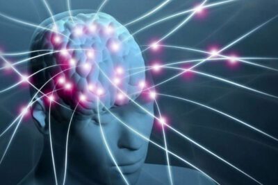 Historia y evolución de la inteligencia emocional