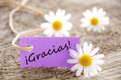 La actitud de agradecimiento para la felicidad y plenitud