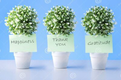 Las mejores estrategias para cultivar la gratitud en tu día a día