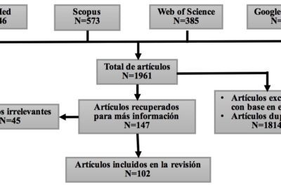 El papel de las hormonas en el estado de ánimo: explorando emociones humanas