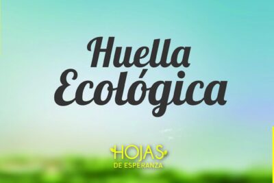 Ejemplos de Huella Ecológica y su Significado: Impacto Ambiental Personal