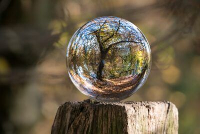 Efectos de las actividades humanas en el medio ambiente