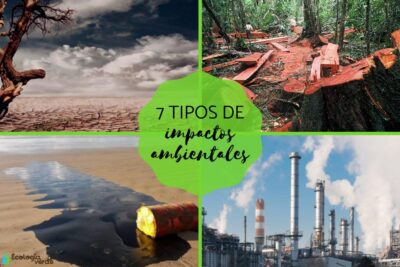 Los 7 tipos de impacto ambiental y su afectación en el planeta