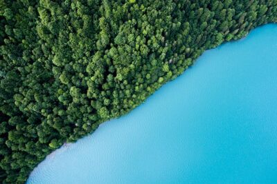 El impacto del descuido del medio ambiente en nuestro futuro