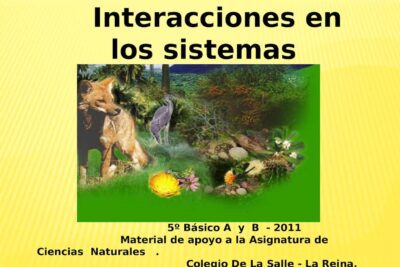 La interacción ambiente-seres vivos: clave para la supervivencia