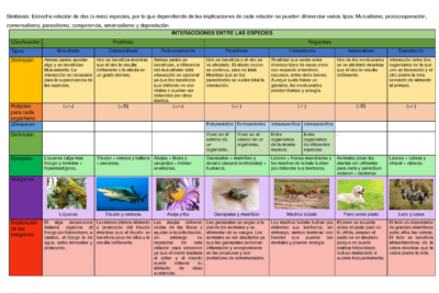 Relaciones ecológicas en los ecosistemas: una mirada en profundidad