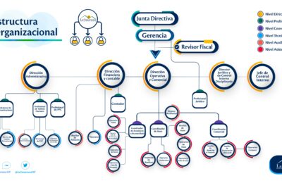 Estructura de éxito: los 4 niveles de división en las organizaciones