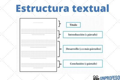 Las divisiones del lenguaje: una mirada a sus ramas principales