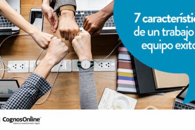 Los valores clave para ser un líder eficaz y exitoso en tu equipo