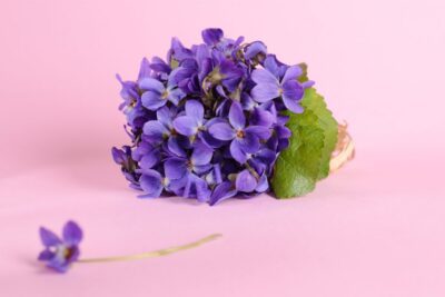 Luz violeta en la meditación: significado y beneficios