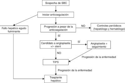 Guía paso a paso para elaborar una matriz de Pugh de forma efectiva