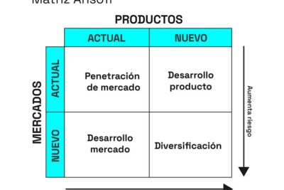 Guía paso a paso: matriz estratégica para la planificación empresarial