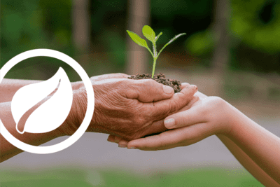 El impacto del medio ambiente en tu calidad de vida y cómo mejorarlo