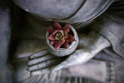 Guía completa de la meditación Vipassana: beneficios y técnicas