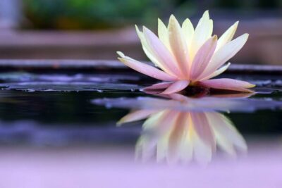 Los beneficios de la espiritualidad: conexión trascendental