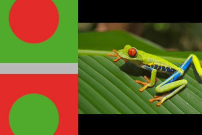 Enseñanzas de Laudato Si sobre ecología integral y cuidado de la casa común