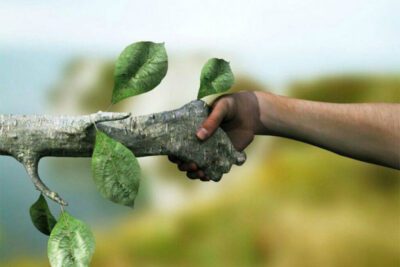 Perspectiva ecológica: una visión holística del entorno