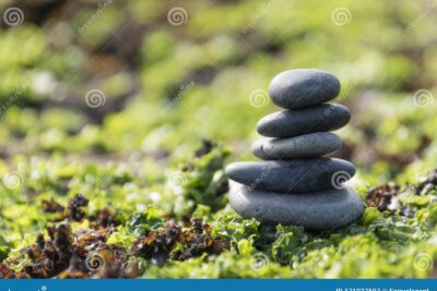 Beneficios de vivir en armonía con la naturaleza para la salud y bienestar